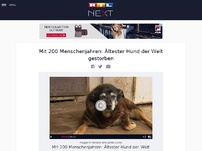 Bild zum Artikel: Mit 200 Menschenjahren: Ältester Hund der Welt gestorben