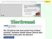 Bild zum Artikel: Vor 22 Jahren hat man seine Frau schwer verletzt. Seitdem stiehlt dieser Storch den Menschen...