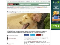 Bild zum Artikel: Tierpsychologe: Hunde mögen nicht umarmt werden