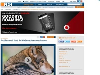 Bild zum Artikel: Zu zutraulich - 
Problemwolf Kurti in Niedersachsen erschossen