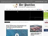 Bild zum Artikel: Wegen Überfischung: Fischstäbchen vom Aussterben bedroht [Postillon24]