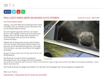Bild zum Artikel: Frau lässt ihren Mops im heißen Auto sterben