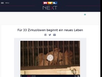 Bild zum Artikel: RTL Aktuell