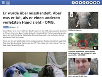 Bild zum Artikel: Er wurde übel misshandelt. Aber was er tut, als er einen anderen verletzten Hund sieht - OMG.