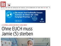 Bild zum Artikel: 3 Spender nicht erreichbar - Ohne EUCH muss Jamie (5) sterben