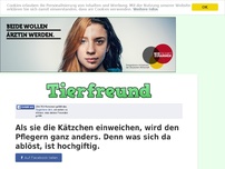 Bild zum Artikel: Als sie die Kätzchen einweichen, wird den Pflegern ganz anders. Denn was sich da ablöst, ist...