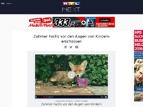 Bild zum Artikel: Zahmer Fuchs vor den Augen von Kindern erschossen