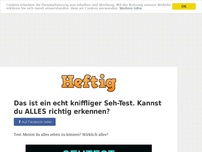 Bild zum Artikel: Das ist ein echt kniffliger Seh-Test. Kannst du ALLES richtig erkennen?