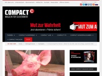Bild zum Artikel: Schweinskopf für Merkel – Böller für die AfD: zwei Anschläge, zweierlei Maß