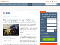 Bild zum Artikel: Pilot widersetzt sich den Vorschriften und rettet Hunderte Tiere vor dem sicheren Tod