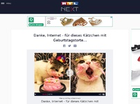 Bild zum Artikel: Danke, Internet - für dieses Kätzchen mit Geburtstagstorte...
