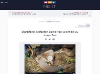 Bild zum Artikel: Ergreifend: Elefanten-Dame Yani weint bis zu ihrem Tod