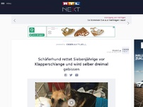 Bild zum Artikel: Schäferhund rettet Siebenjährige vor Klapperschlange und wird selber dreimal gebissen