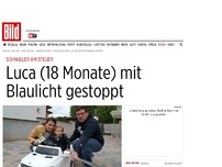 Bild zum Artikel: Schnuller am Steuer - Luca (18 Monate) mit Blaulicht gestoppt