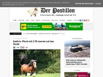 Bild zum Artikel: Endlich: Pferd mit 2 PS kommt auf den Markt