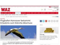Bild zum Artikel: Flughafen Hannover bekommt Erlaubnis zum Störche-Abschuss