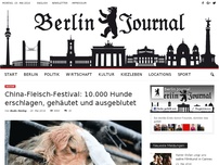 Bild zum Artikel: China-Fleisch-Festival: 10.000 Hunde erschlagen, gehäutet und ausgeblutet