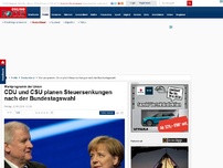 Bild zum Artikel: Wahlprogramm von CDU und CSU - Mehr Sicherheit, weniger Steuern: So will die Union der AfD Stimmen abjagen