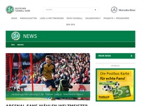 Bild zum Artikel: Arsenal-Fans wählen Weltmeister Özil zum 'Spieler der Saison'