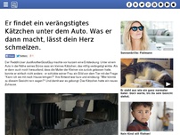 Bild zum Artikel: Er findet ein verängstigtes Kätzchen unter dem Auto. Was er dann macht, lässt dein Herz schmelzen.