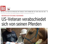 Bild zum Artikel: Berührendes Foto - Todkranker verabschiedet  ​sich von seinen Pferden