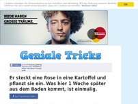 Bild zum Artikel: Geniale Tricks