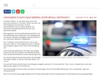 Bild zum Artikel: Unfassbar! Flüchtlinge werden unter Beifall verprügelt