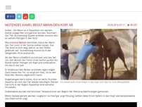 Bild zum Artikel: Wütendes Kamel beißt Mann den Kopf ab