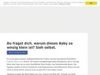 Bild zum Artikel: Du fragst dich, warum dieses Baby so winzig klein ist? Sieh selbst.