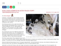 Bild zum Artikel: Kühe lagen sterbend im Laster! Polizei stoppt Tiertransporter auf A4