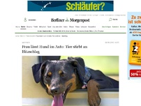 Bild zum Artikel: Marzahn: Frau lässt ihren Hund im Auto: Tier stirbt an Hitzeschlag