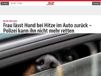 Bild zum Artikel: Frau lässt Hund bei Hitze im Auto zurück – Polizei kann ihn nicht mehr retten
