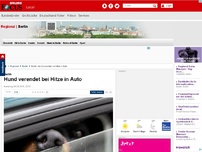 Bild zum Artikel: Todesdrama in Berlin - Hund verendet bei tödlicher Hitze in geparktem Auto