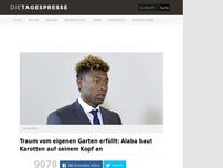 Bild zum Artikel: Traum vom eigenen Garten erfüllt: Alaba baut Karotten auf seinem Kopf an