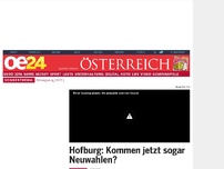 Bild zum Artikel: Hofburg: Kommen jetzt sogar Neuwahlen?