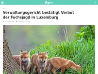 Bild zum Artikel: Verwaltungsgericht bestätigt Verbot der Fuchsjagd in Luxemburg
