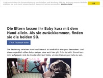 Bild zum Artikel: Die Eltern lassen ihr Baby kurz mit dem Hund allein. Als sie zurückkommen, finden sie die beiden SO.
