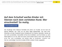 Bild zum Artikel: Auf dem Schulhof werfen Kinder mit Steinen nach dem verletzten Hund. Wer einschreitet? So mutig.