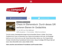 Bild zum Artikel: Chaos im Bienenstock: Durch dieses Gift verlieren Bienen ihr Gedächtnis