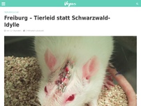 Bild zum Artikel: Freiburg – Tierleid statt Schwarzwald-Idylle