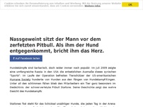 Bild zum Artikel: Nassgeweint sitzt der Mann vor dem zerfetzten Pitbull. Als ihm der Hund entgegenkommt, bricht...