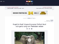 Bild zum Artikel: Kugel im Kopf: Angeschossener Elefant lässt sich ganz ruhig von Tierärzten retten