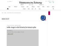 Bild zum Artikel: Voller Angst in die historische Katastrophe