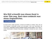 Bild zum Artikel: Wie Müll schmeißt man diesen Hund in einer Tüte weg. Doch dann entdeckt man etwas Unglaubliches.