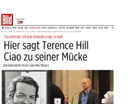 Bild zum Artikel: Trauerrede für Bud Spencer - Hier sagt Terence Hill Ciao zu seiner Mücke