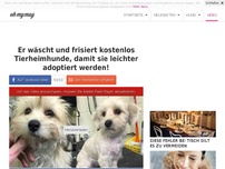 Bild zum Artikel: Er wäscht und frisiert kostenlos Tierheimhunde, damit sie leichter adoptiert werden!
