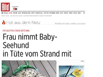 Bild zum Artikel: Fatale Fehleinschätzung - Frau nimmt Baby-Seehund in Tüte vom Strand mit