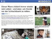 Bild zum Artikel: Dieser Mann riskiert immer wieder sein Leben - und zwar, um Hunde vor der Schlachtbank zu retten.