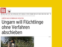 Bild zum Artikel: Zurück nach Serbien und Kroatien - Ungarn will Flüchtlinge ohne Verfahren abschieben