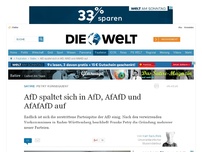 Bild zum Artikel: Petry konsequent: AfD spaltet sich in AfD, AfAfD und AfAfAfD auf